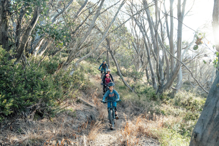 Family walking among the snow gums